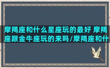 摩羯座和什么星座玩的最好 摩羯座跟金牛座玩的来吗/摩羯座和什么星座玩的最好 摩羯座跟金牛座玩的来吗-我的网站